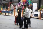 Uniek aanbod ❗️Zwarte  Alpaca kampioenshengst te koop., Dieren en Toebehoren, Juni, Mannelijk