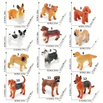  Honden & Paarden & Poezen. beschikbaar voor biedingen