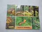 Beekbergen, bos/dieren 1973, Verzenden, Gelopen, Gelderland