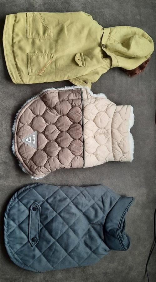 Chihuahua jasjes, Dieren en Toebehoren, Hondenkleding, Nieuw, Ophalen