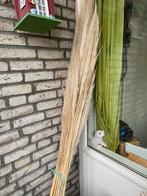 Ongeveer 30 Droogbloemen Pluimen - Decoratie, Ophalen of Verzenden, Zo goed als nieuw