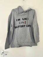 Only You Hoodie - Maat L - Grijs, Ophalen of Verzenden, Gedragen, Maat 42/44 (L), Grijs