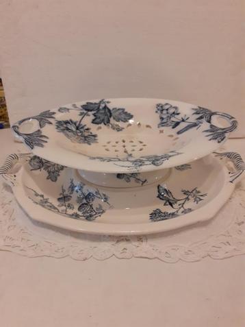 Wedgwood Chrysanthemum - (fruit)test met onderschotel - 1900 beschikbaar voor biedingen