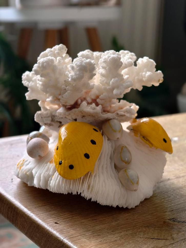 Mooi natuurlijk koraal te koop, Antiek en Kunst, Kunst | Niet-Westerse kunst, Ophalen of Verzenden