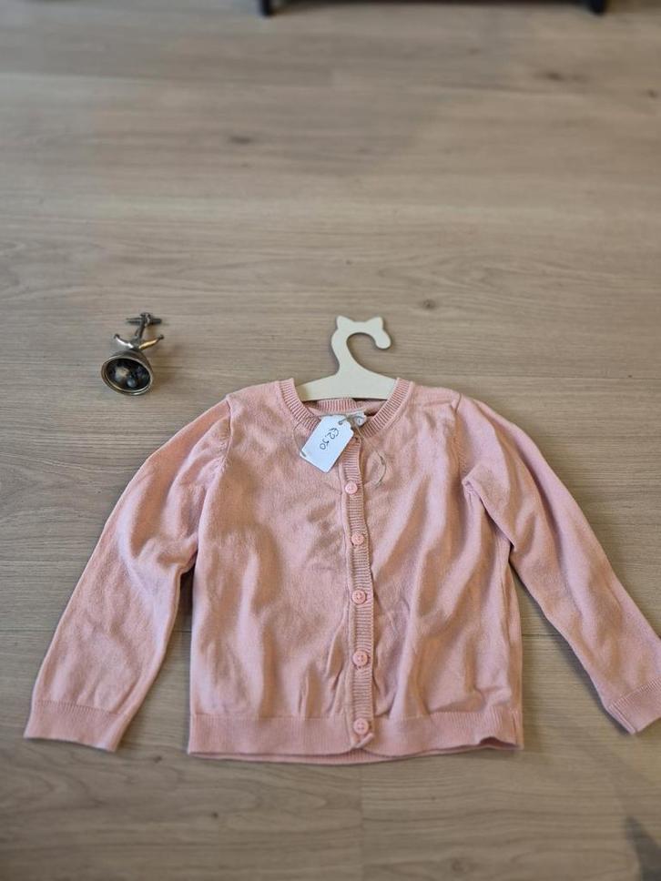 Roze vestje hema maat 86, Kinderen en Baby's, Babykleding | Maat 86, Gebruikt, Meisje, Ophalen of Verzenden
