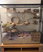 Gerbilarium/ verblijf, Dieren en Toebehoren, Zo goed als nieuw, Chinchilla, Hok, Ophalen