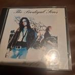 The prodigal sons, Ophalen of Verzenden, Zo goed als nieuw, Poprock