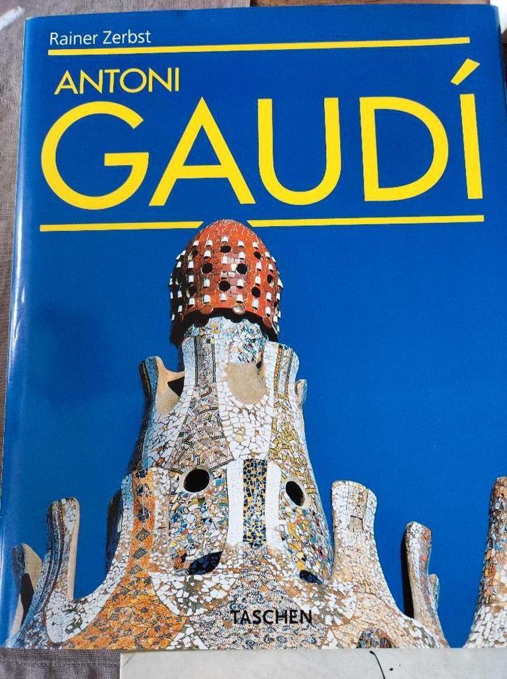 Antoni Gaudi, Boeken, Kunst en Cultuur | Architectuur, Zo goed als nieuw, Ophalen of Verzenden