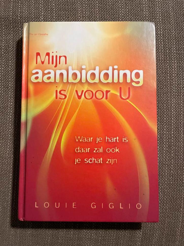 Mijn aanbidding is voor U - Louie Giglio, Boeken, Godsdienst en Theologie, Zo goed als nieuw, Christendom | Katholiek, Ophalen of Verzenden