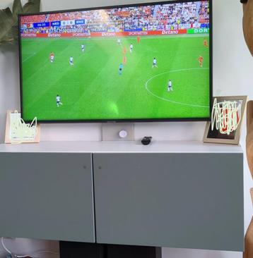 IKEA Besta tv-kast groen met tv-houder