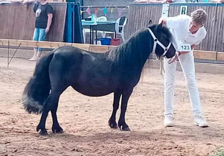 Ramona v. Vries, Dieren en Toebehoren, Stalling en Weidegang