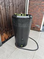 Elho Regenton met plantenbak - 200Liter, Ophalen, Kunststof, Met kraantje, 150 liter of meer