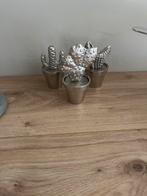 Riviera maison cactus, Ophalen of Verzenden, Zo goed als nieuw, Poppenhuis
