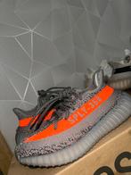 Yeezy Boost 350 V2 belurf MAAT 36 2/3, Kleding | Heren, Schoenen, Ophalen, Gedragen, Overige kleuren, Sneakers of Gympen