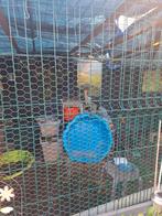 Mooie grote dierenren voor buiten...., Ophalen