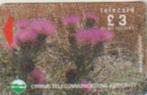 24- Cyprus, Verzenden