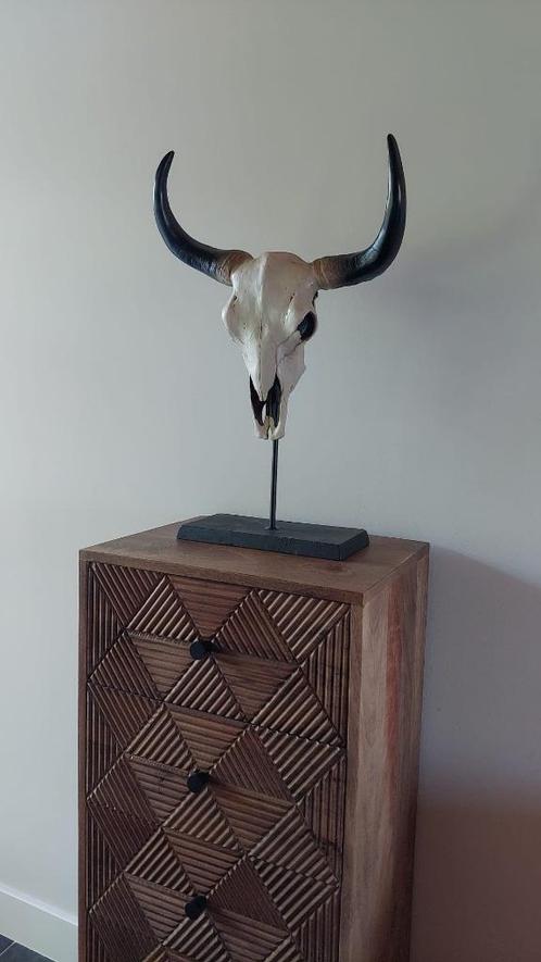 Skull - Buffelschedel - Schedel - Gewei op voet 61 cm hoog, Huis en Inrichting, Woonaccessoires | Overige, Zo goed als nieuw, Ophalen of Verzenden