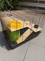 Hamsterkooi met toebehoren, Minder dan 60 cm, Kooi, Gebruikt, Ophalen of Verzenden