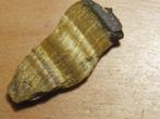 min. 3x ruwe edelsteen TIJGEROOG (3), Verzamelen, Mineralen en Fossielen, Verzenden, Mineraal