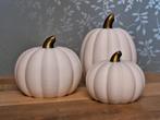 3d geprinte pompoenen, Huis en Inrichting, Woonaccessoires | Kandelaars en Kaarsen, Wit, Nieuw, Ophalen of Verzenden, Info@laserparadijs.nl