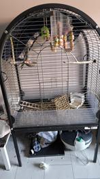 Papegaaien, Ophalen of Verzenden, Gebruikt, Metaal, Vogelkooi