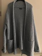Dames vest lichtblauw, Kleding | Dames, Ophalen of Verzenden, Gedragen, Maat 42/44 (L), Blauw