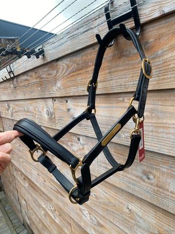 Nieuwe Leer Premiere Halster Zwart Leer / Cob beschikbaar voor biedingen