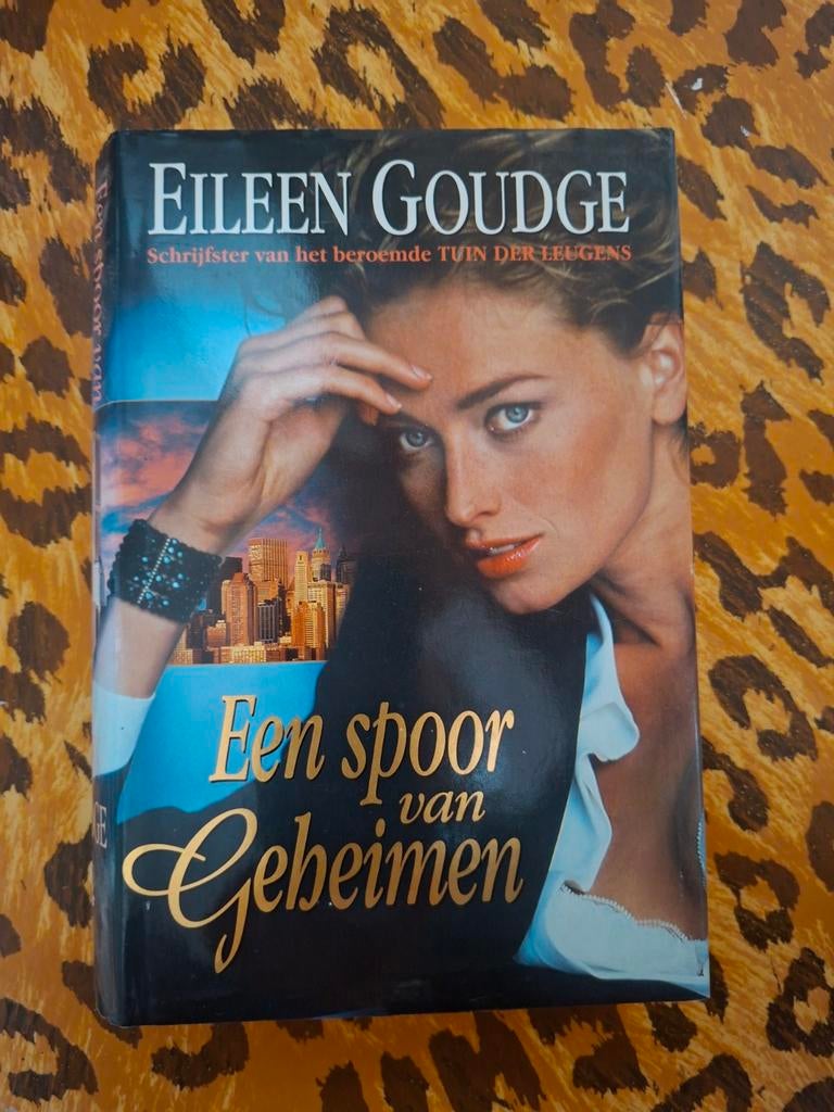 Een spoor van geheimen - Eileen Goudge, Boeken, Ophalen of Verzenden, Gelezen, Eileen Goudge