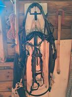 Fries paarden tuigage, Ophalen of Verzenden, Gebruikt, Dressuur