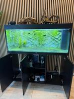 Aquarium, Ophalen of Verzenden, Zo goed als nieuw, Leeg aquarium