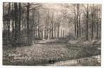 Prinsenhage NB, Liesbosch ongelopen, zeer mooie oude kaart, Verzenden, Voor 1920, Ongelopen, Noord-Brabant