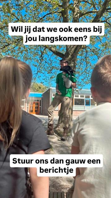 Educatieve roofvogel & uilenworkshops - beschikbaar voor biedingen