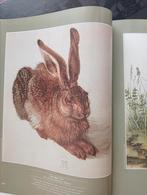 Albrecht Dürer uitgave jaren 90, Verzenden, Gelezen, Schilder- en Tekenkunst