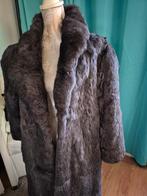 bontjas echt konijn maat 36 antracietgrijs, Ophalen of Verzenden, Maat 36 (S), Grijs, Onbekend