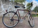 Koga Miyata Forest, Fietsen en Brommers, Fietsen | Heren | Herenfietsen, Gebruikt, Versnellingen, 57 tot 61 cm, Ophalen