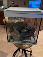 Aquarium 30L SuperFish, Dieren en Toebehoren, Vissen | Aquaria en Toebehoren, Ophalen, Leeg aquarium