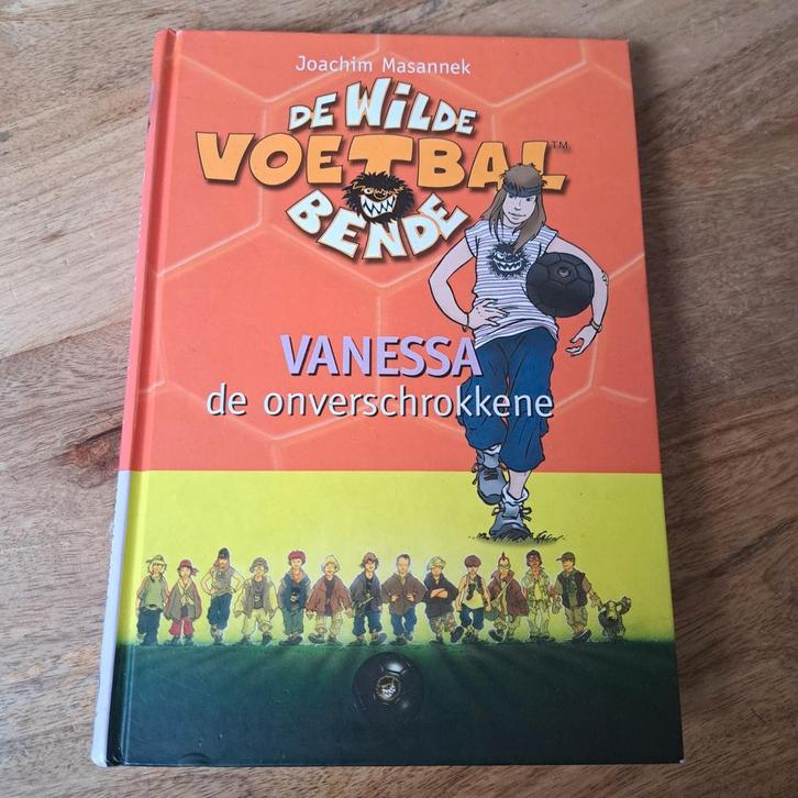 Joachim Masannek - Vanessa de onverschrokkene, Boeken, Kinderboeken | Jeugd | 10 tot 12 jaar, Zo goed als nieuw, Ophalen of Verzenden