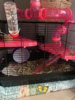 Hamsterhok, hamster roze hok incl toebehoren, Minder dan 75 cm, Zo goed als nieuw, Hok, Ophalen