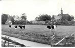 Oostwold (Old) - Landschap, Verzamelen, Ansichtkaarten | Nederland, Verzenden, 1960 tot 1980, Gelopen, Groningen