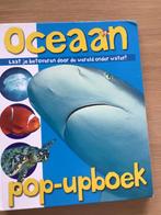 Oceaan pop- upboek, Boeken, Gelezen, Prentenboek, Ophalen of Verzenden