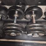 Dumbbell Set - 2x 27, Ophalen of Verzenden, Gebruikt, Rug, Dumbbell