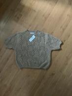 Ajour gebreid truitje met korte mouwen, nieuw, Kleding | Dames, Truien en Vesten, Maat 38/40 (M), Beige, Nieuw, Ophalen of Verzenden