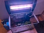 Tetra aquarium 61x34x44.5 60 liter., Dieren en Toebehoren, Vis