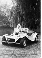 Ruska Sprinter, buggy, Ophalen of Verzenden, Gelezen, Overige merken