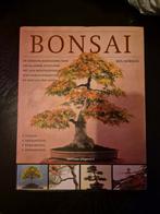 Bonsai Boek - Complete Handleiding, Ophalen of Verzenden, Zo goed als nieuw, Ken Norman, Tuinieren en Tuinplanten