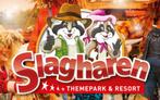 Vier toegangskaarten Attractiepark Slagharen!, Drie personen of meer, Ticket of Toegangskaart
