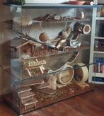 Degoe en Chinchilla Verblijven – Luxe Glazen Terrariums, 110 cm of meer, Nieuw, Ophalen of Verzenden, 90 cm of meer