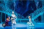 2 kaarten Frozen de Musical, Tickets en Kaartjes, Recreatie | Pretparken en Attractieparken, Twee personen