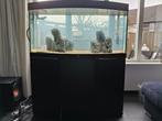 Juwel Vision 260 Zwart, Dieren en Toebehoren, Ophalen of Verzenden, Zo goed als nieuw, Leeg aquarium