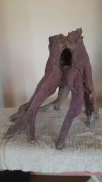 Boomstam, Dieren en Toebehoren, Vissen | Aquaria en Toebehoren, Ophalen